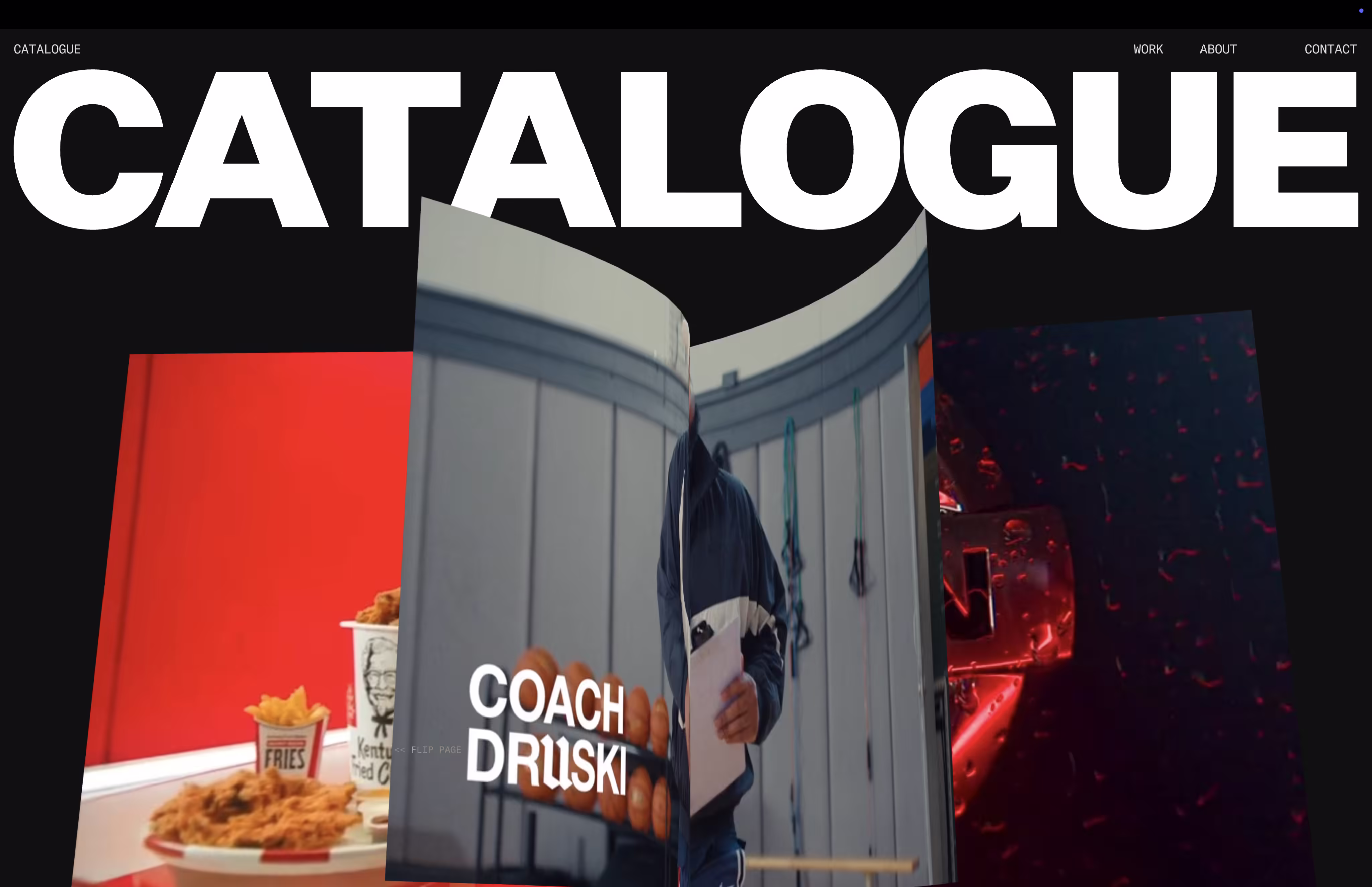 Catalogue project preview